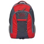 Trendy Sports Travel Laptop Backpack in India