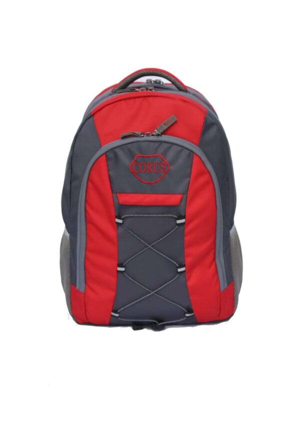 Trendy Sports Travel Laptop Backpack in India