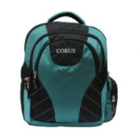 Traveling Laptop Backpack for Men's and Women