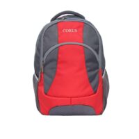 Traveling Laptop Backpack 35Ltrs Supplier India﻿